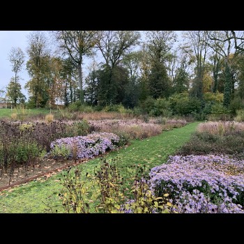 LANDCOMMANDERIJ ALDEN BIESEN herfstbeeld (2)